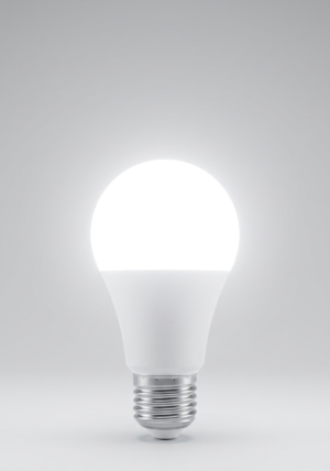 Erkled 9W Led Ampul E27 Duylu